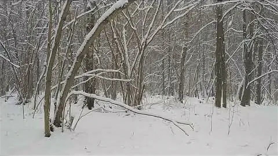 Ну оооочень длинный влог... Декабрь... смотреть онлайн