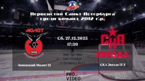 ХК "Заневский Молот" 12 - ХК "СКА Звезда" 12 2 | 27.12.2025