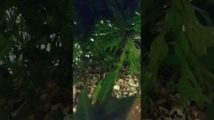 разговорчики