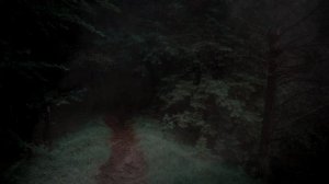 04 - In the Deep Forest