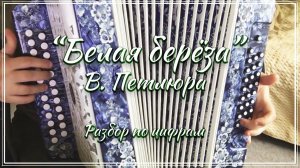 "Белая береза" (В. Петлюра) / Разбор на гармони по цифрам