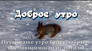 Доброе зимнее утро! Радости в каждом мгновении!