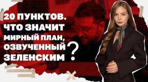 Киев по 17 часов без света и скоро холода, Мирный план ЗЕ, что он значит