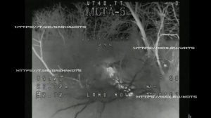 Свежий объективный контроль и уничтоженный Леопард (2).