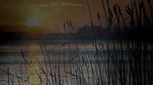 07 - Melancholy (Reality)