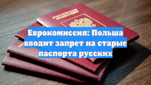 Еврокомиссия: Польша вводит запрет на старые паспорта русских