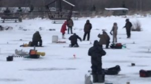 поимка форели на жерлицу