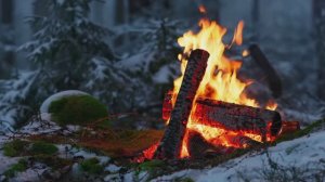 Костер в заснеженном лесу ❄️