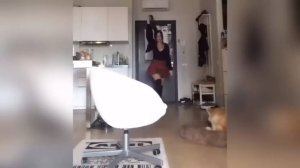 #смешныевидео -528