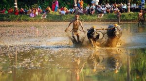 Гонки на выживание