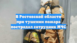 В Ростовской области при тушении пожара пострадал сотрудник МЧС
