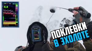 ЭФФЕКТИВНАЯ ПРИМАНКА НА ЩУКУ И ПОКЛЕВКИ В ЭХОЛОТЕ ПРАКТИК 8