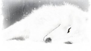 Зима Олег Юргаев и ИИ