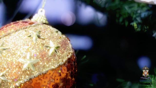 В Омске Полицейский Дед Мороз традиционно дарит новогоднее настроение воспитанникам Забота.