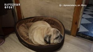 Холод в доме на Жосу