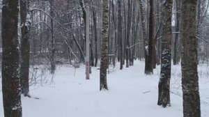 Обращение к зрителям и подписчикам// гуляю по городу// мои покупки к Новому году.