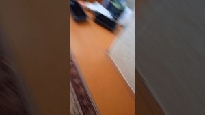 поиск кобибары