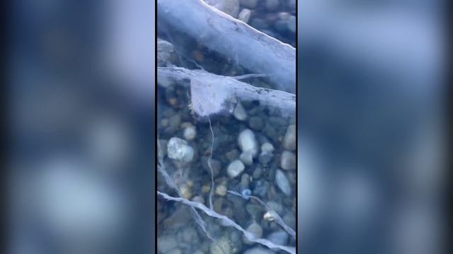 Горные реки Сайлюгемского нацпарка зимой смотреть онлайн