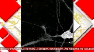 25.12.2025 Мировые новости