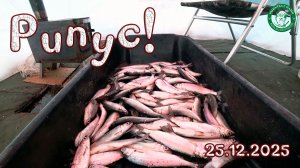 РИПУС, ОТКРЫЛИ СЕЗОН В КАЧКАНАРЕ -30! РИПУС КЛЕВАЛ, СПАТЬ НАМ НЕ ДАВАЛ, ПЕЛЬМЕНИ, РЫБАЛКА НА УРАЛЕ!