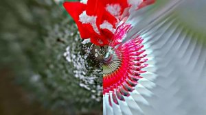 С Днём Рождени!!! Зимняя сказка для Единственной 2 от Киностудии Мудрого Кота Тимофея!