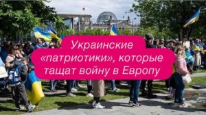 Почему европейцы должны погибать за Украину? #новости #беженцыизукраины