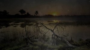 13 - Mark Morgan - Metallic Monks (Anfermond Remix)