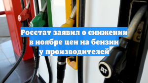 Росстат заявил о снижении в ноябре цен на бензин у производителей