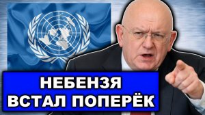 Перепалка в ООН из-за Венесуэлы Россия и США вновь столкнулись в Совбезе ООН