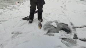 Основной водоём.