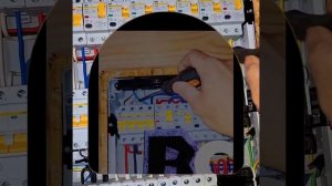 1000043481.mp4 (Собака наблюдает за лайфхаками при строительстве дома А-фрейм)