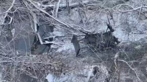 Роботы захватывают мир. Наземные дроны самостоятельно строят переправу в зоне СВО.