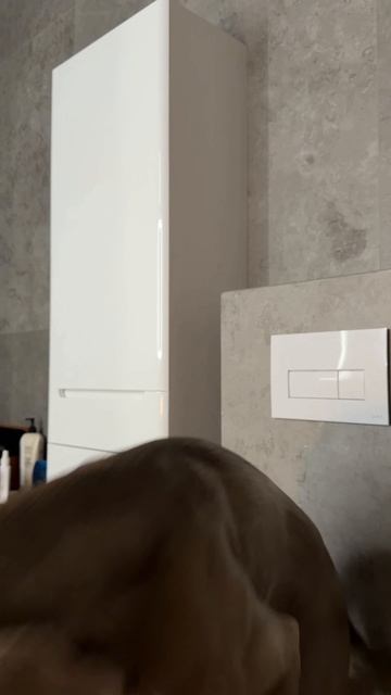 КТО-ТО ПРОБРАЛСЯ К НАМ В ДОМ ПОД НОВЫЙ ГОД 