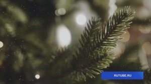 Новогодние желания