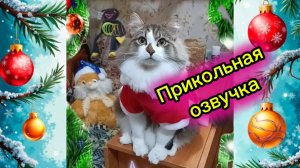 Новогодний юмор. Шуточные поздравления с новым годом