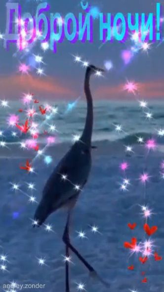 Доброй ночи!) Красивых снов) #добройночи смотреть онлайн