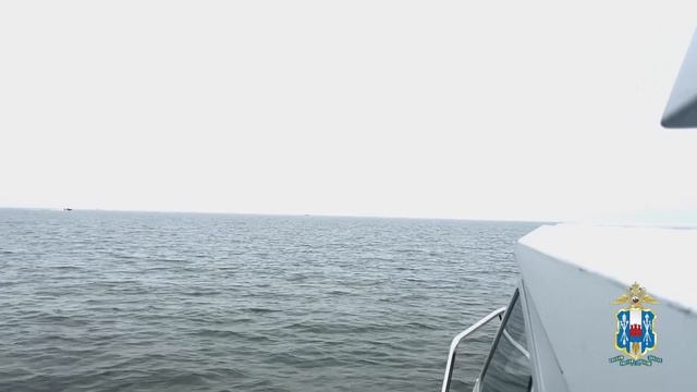 Полиция Ростовской области продолжает рейдовые мероприятия по сохранению ресурсов смотреть онлайн