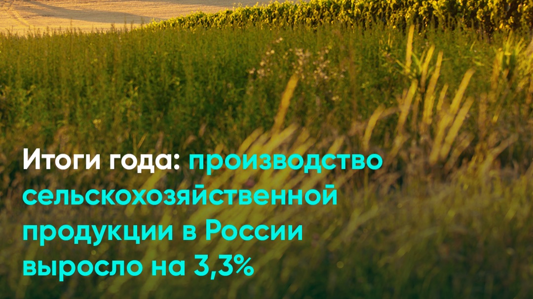 Итоги года: производство сельскохозяйственной продукции в России выросло на 3,3% смотреть онлайн