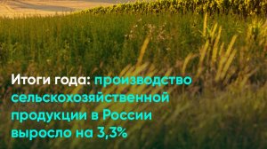 Итоги года: производство сельскохозяйственной продукции в России выросло на 3,3%