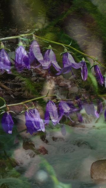 Летний Домбай