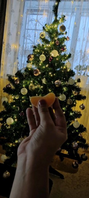 играем в бед варс🤟✌🦆