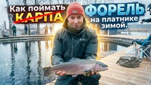 Поехали за КАРПОМ, а поймали ФОРЕЛЬ и закоптили ее на ГРИЛЕ!