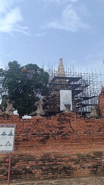 Каждая трещина — история одного года