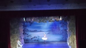 VID2025 Сегодня я был на Балете Лебединое озеро