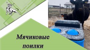 Мячиковые поилки