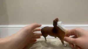 Обзор на новую лошадь 🐴