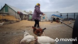 Жизнь в Деревне.Как прошло воскресенье