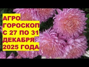 Агрогороскоп Раисы Горяченко декабрь последние дни  2025!