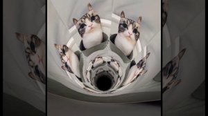 мне скучно😑