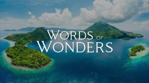 (WOW) WORDS OF WONDERS ОТВЕТ НА УРОВЕНЬ 738